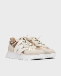 A2464 BEIGE COMBO