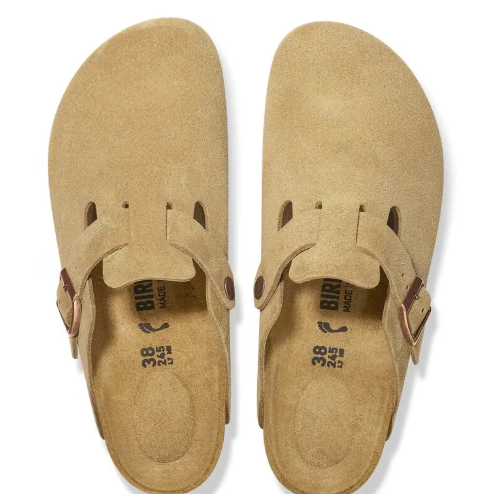 BOSTON LATTE/CREAM SUEDE
