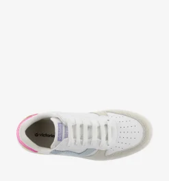 1258246 FUSCHIA