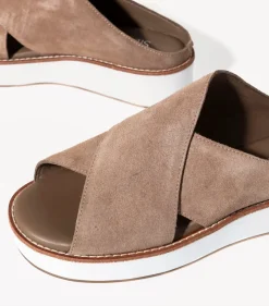 ORELIA TAUPE