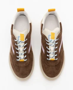 PANAMA CHESTNUT