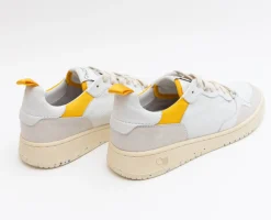 PHOENIX WHITE CLOUD