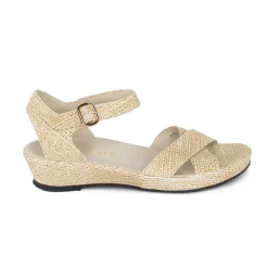 SD552 GOLD