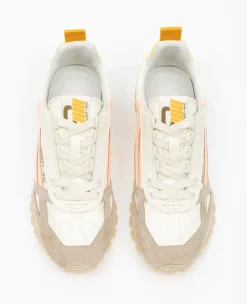 TORONTO ELECTRIC PEACH