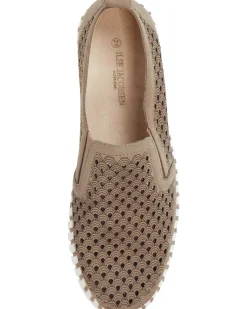 TULIP 140 FALCON/WHITE
