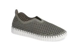 TULIP 139 GREY