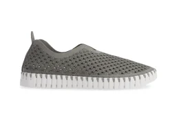 TULIP 139 GREY