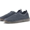TULIP 3072 GREY BLUE/CLEAR