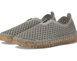 TULIP 3072 GREY/CLEAR